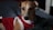A dog wearing a red velvet outfit with white trim is resting on a dark-colored surface. The outfit has a festive appearance with a collar decorated with purple bells. The dog has a light brown coat and is looking towards the camera.