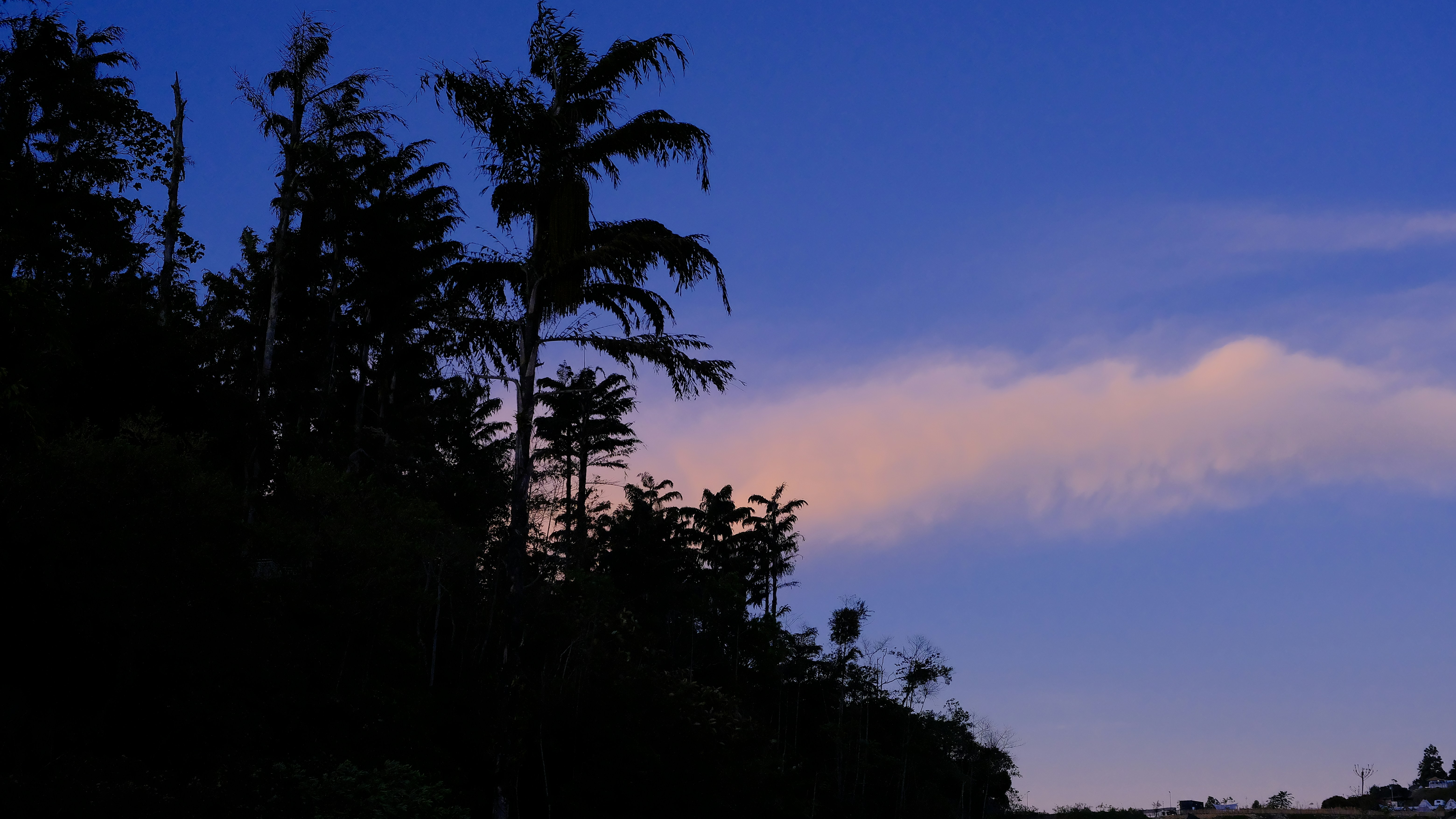 Photo by swenbin