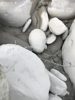 A serene arrangement of natural stone pieces in soft neutral tones on a white background.