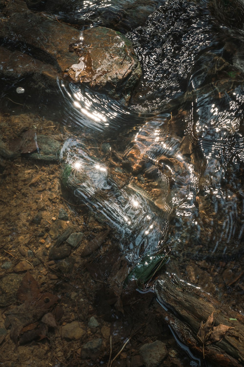 a bottle that is sitting in the water