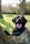 a black dog sitting in a tree with its tongue hanging out