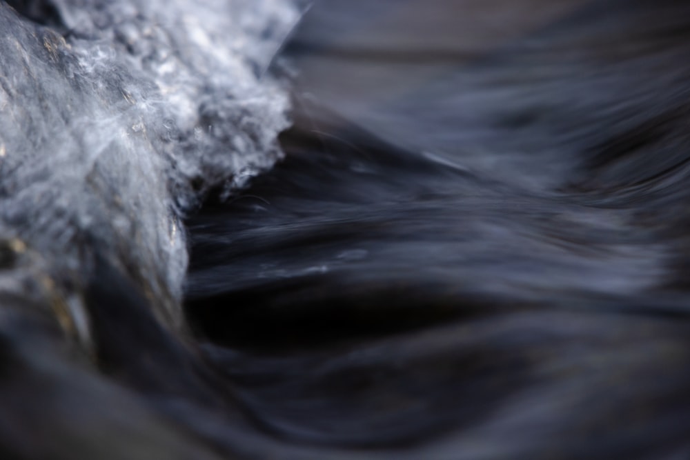 um close up de um fluxo de água