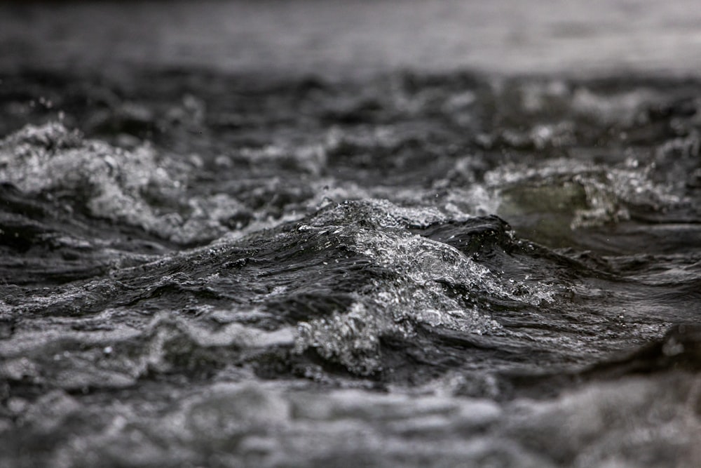 Una foto in bianco e nero di uno specchio d'acqua