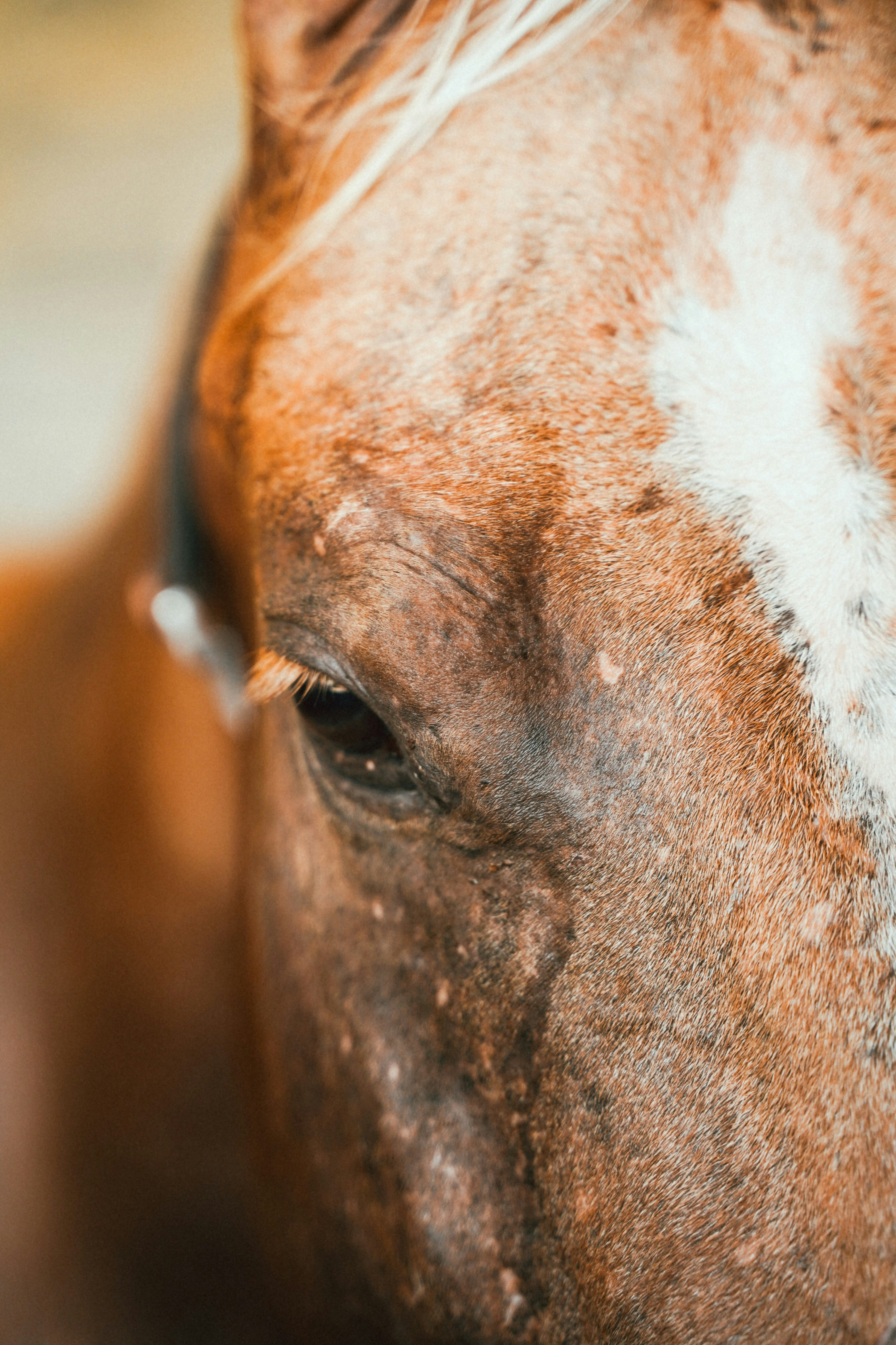 Photo by eliascruzcabrera