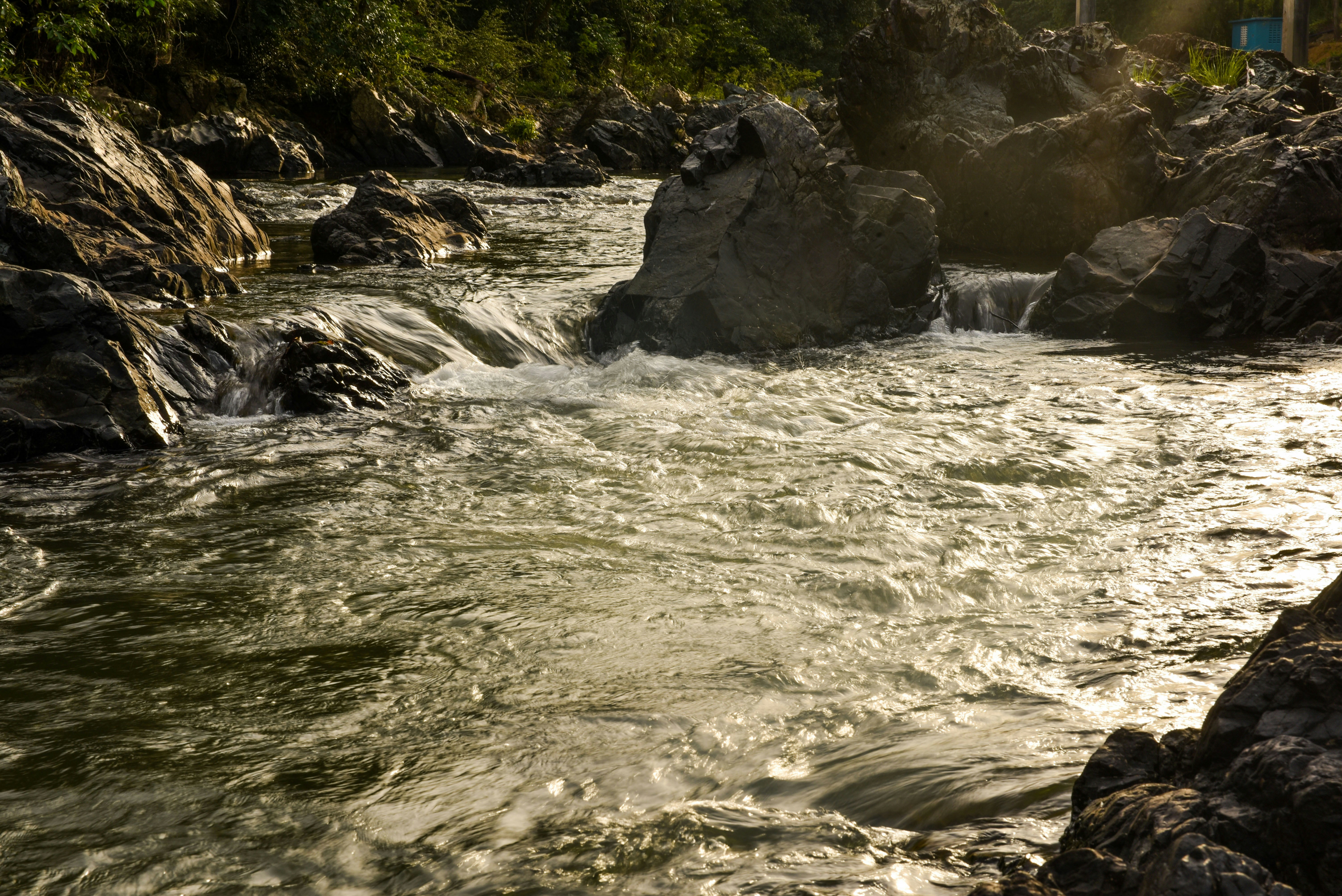 Photo by eliascruzcabrera