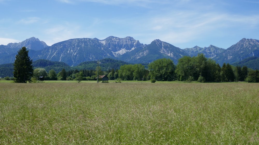 a grassy field with mountains in the background