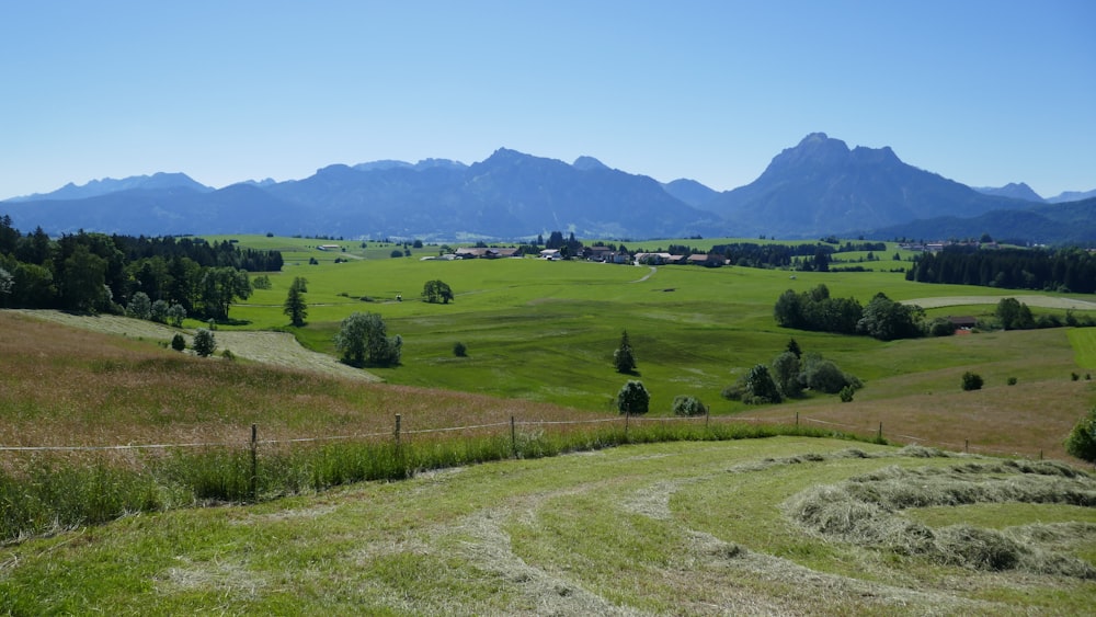 a lush green field with mountains in the background