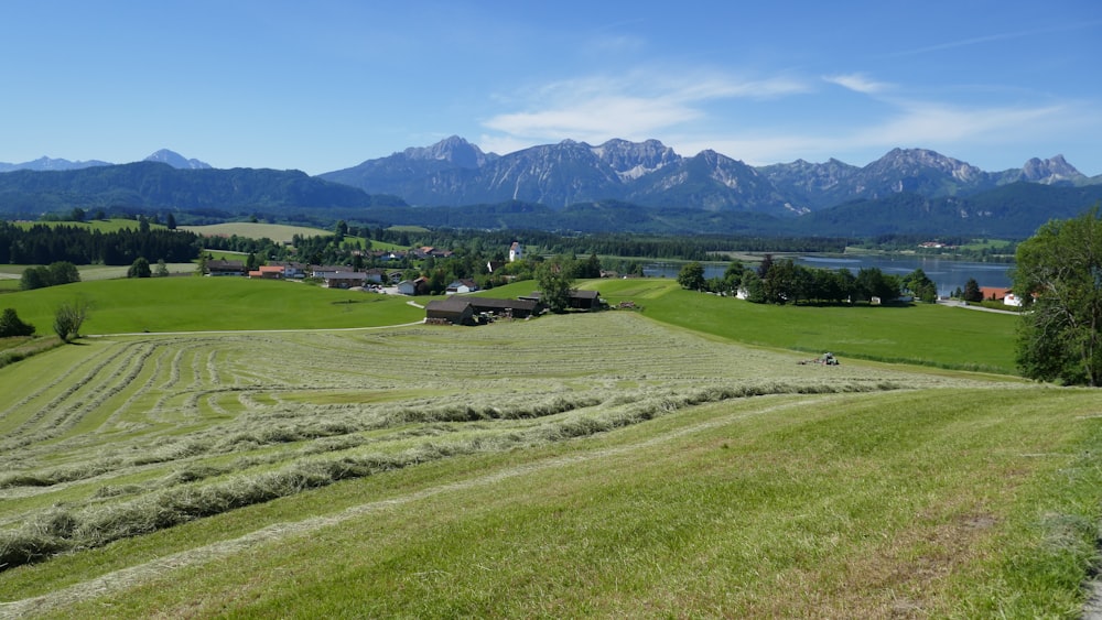 a large field of grass with mountains in the background