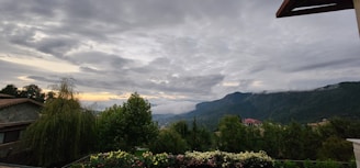 Landscape view of the property.