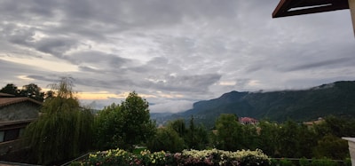 Landscape view of the property.