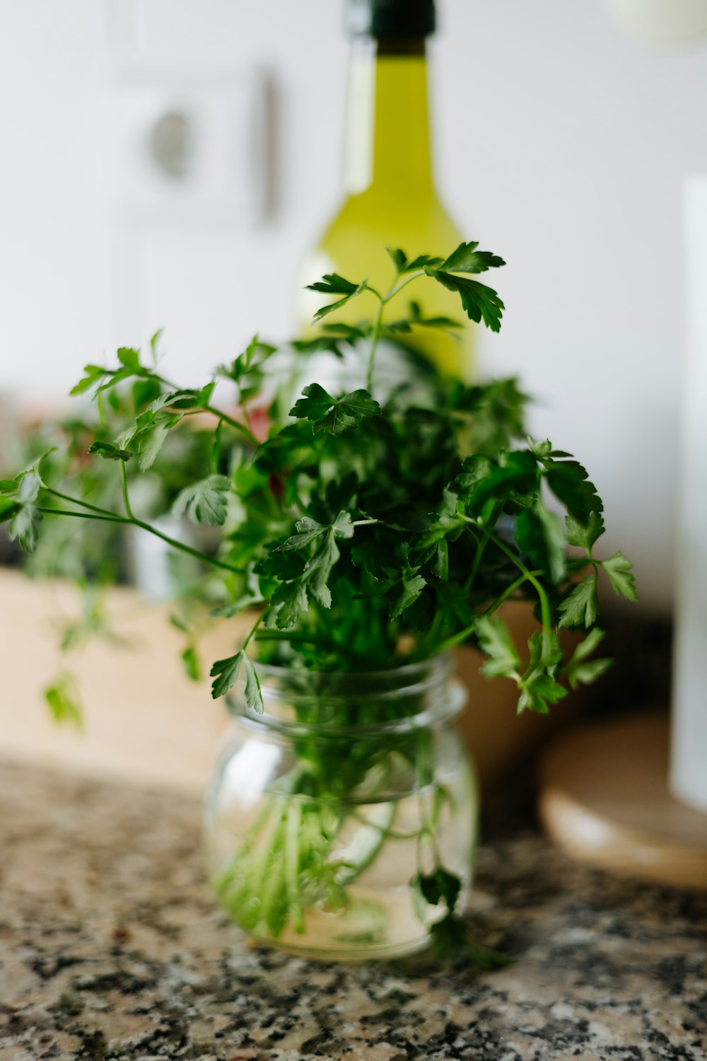 a glass jar filled with green plants on top of a counter