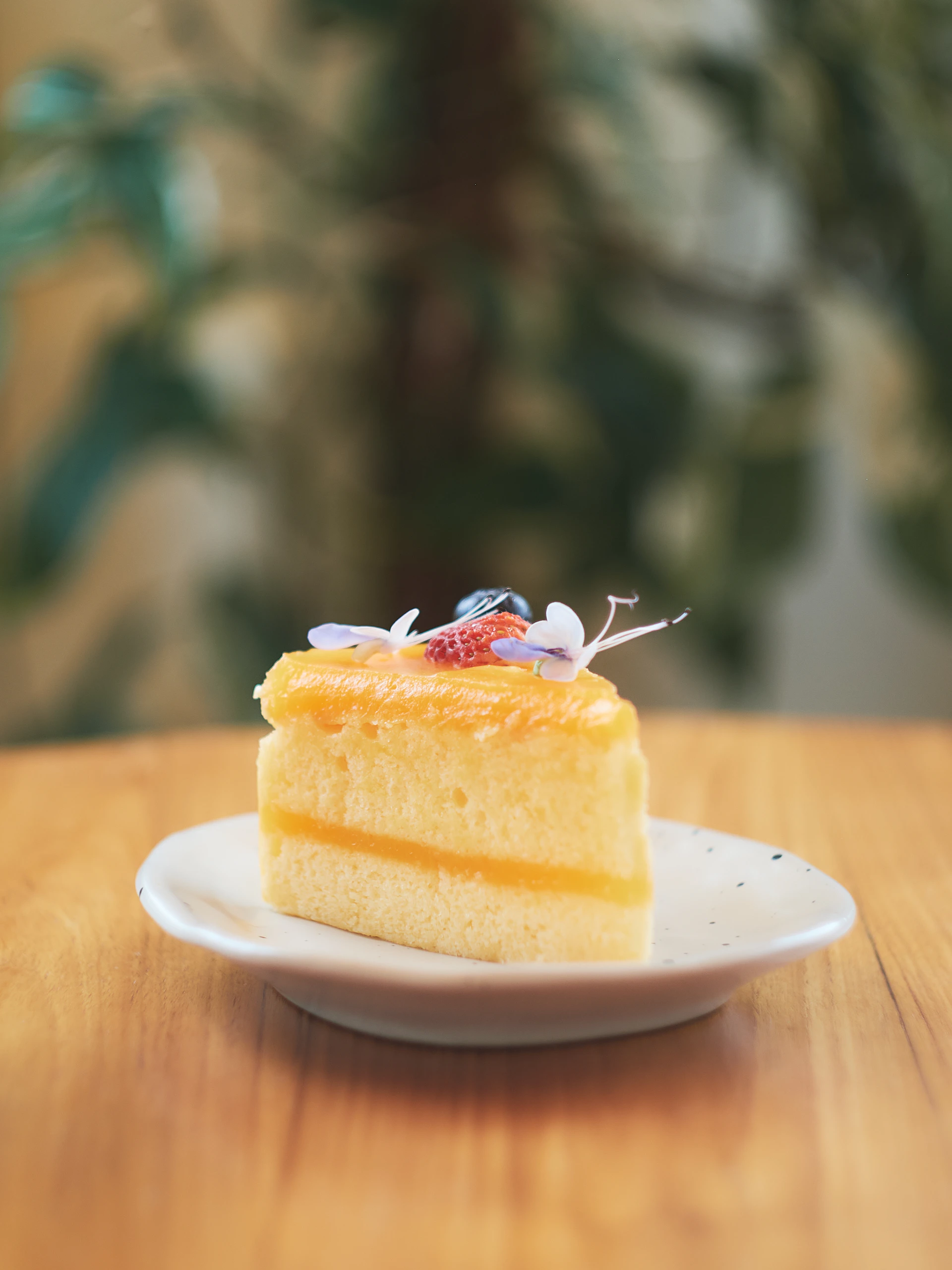 a piece of cake sitting on top of a white plate