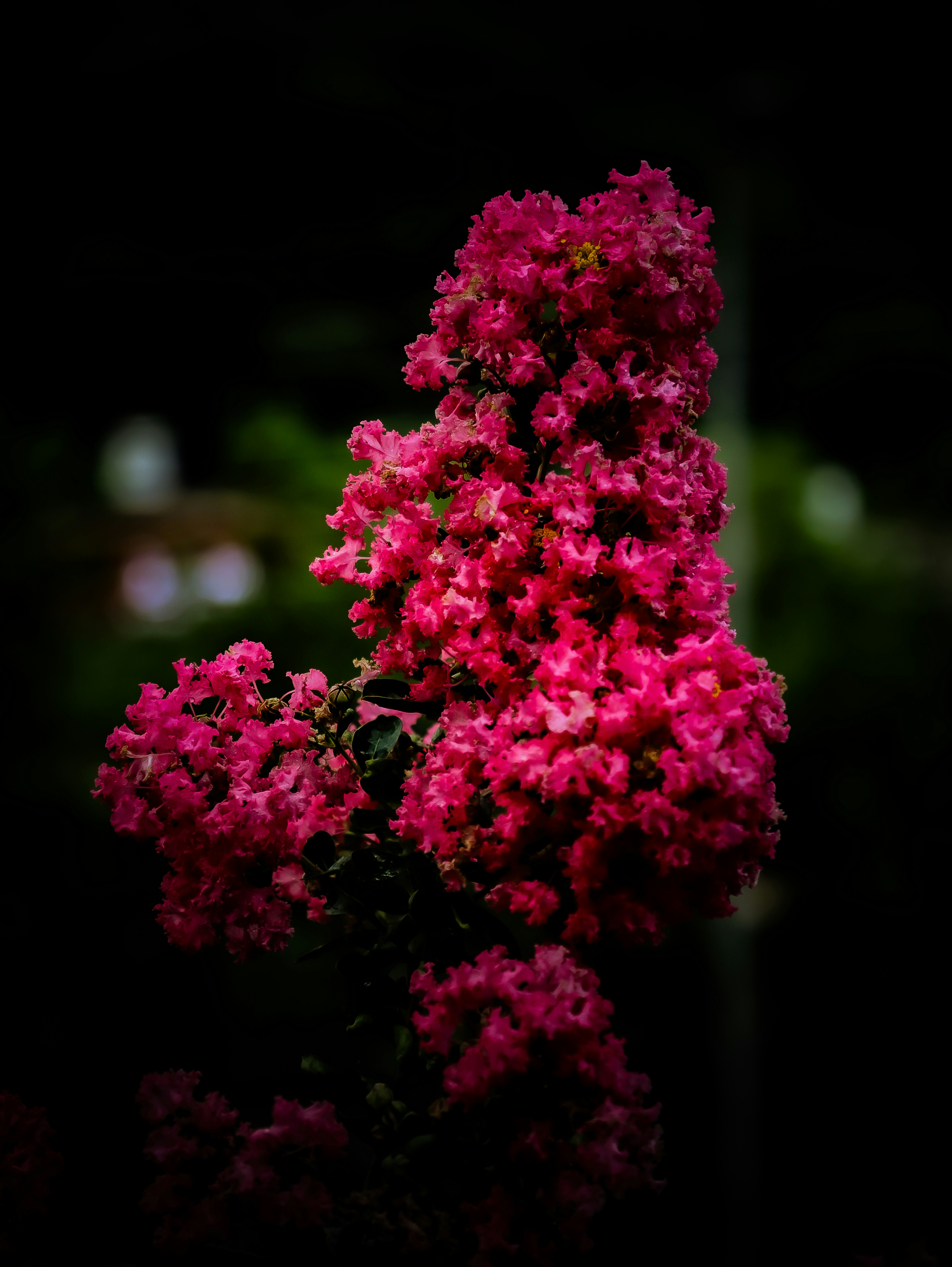 Photo by singh96