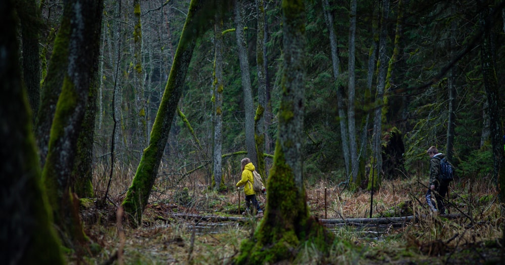 a couple of people walking through a forest