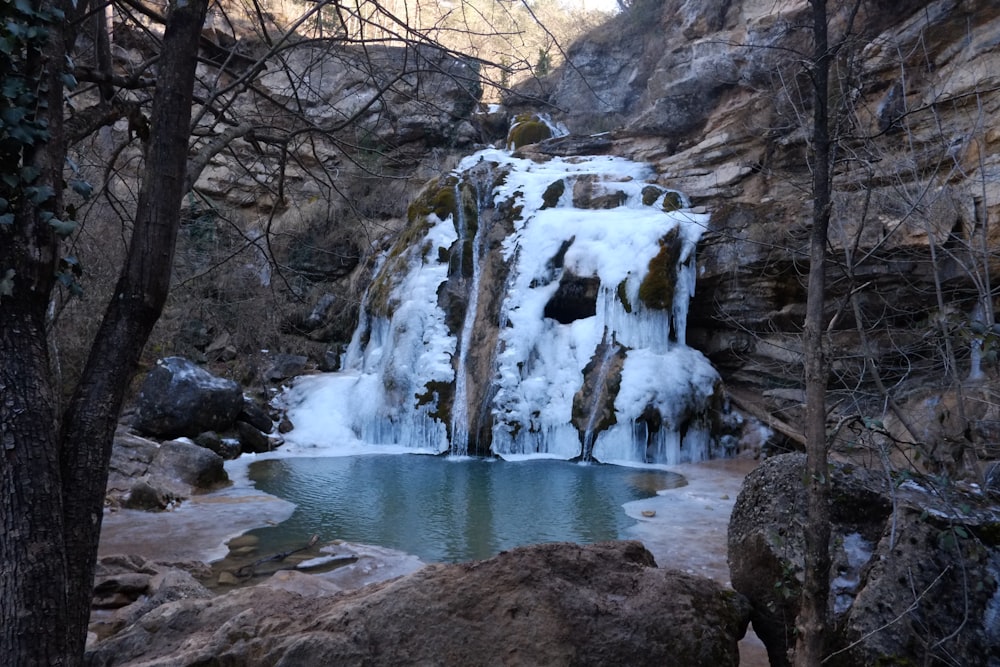 Une cascade gelée au milieu d’une forêt