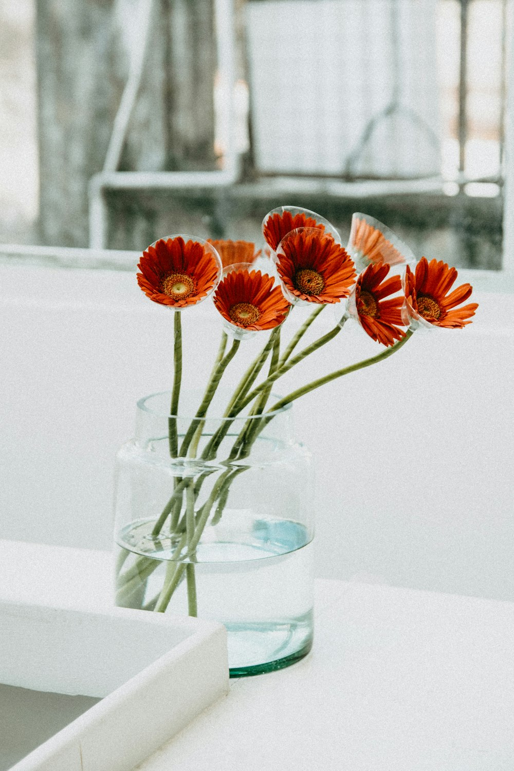 a glass vase filled with water and orange flowers