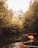A person is kayaking through a narrow waterway surrounded by dense, leafy trees. The lighting is warm, suggesting either sunrise or sunset, and the water is calm with slight ripples. The scene conveys a sense of adventure and tranquility in nature.