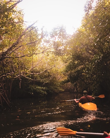 A person is kayaking through a narrow waterway surrounded by dense, leafy trees. The lighting is warm, suggesting either sunrise or sunset, and the water is calm with slight ripples. The scene conveys a sense of adventure and tranquility in nature.