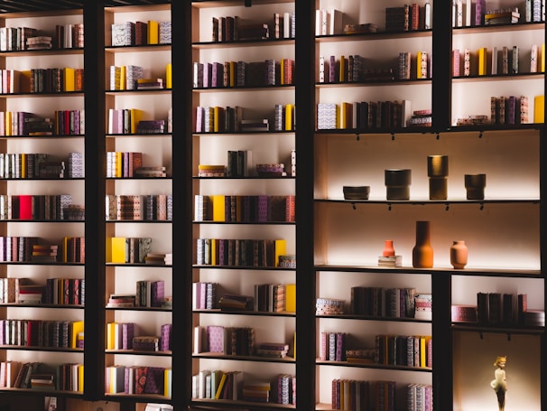 An inviting bookshelf filled with diverse literature and decor.