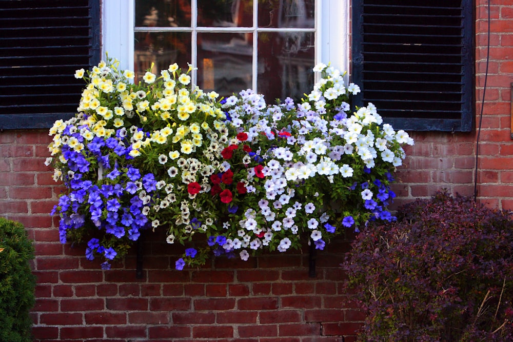 a window box filled with colorful flowers next to a brick building