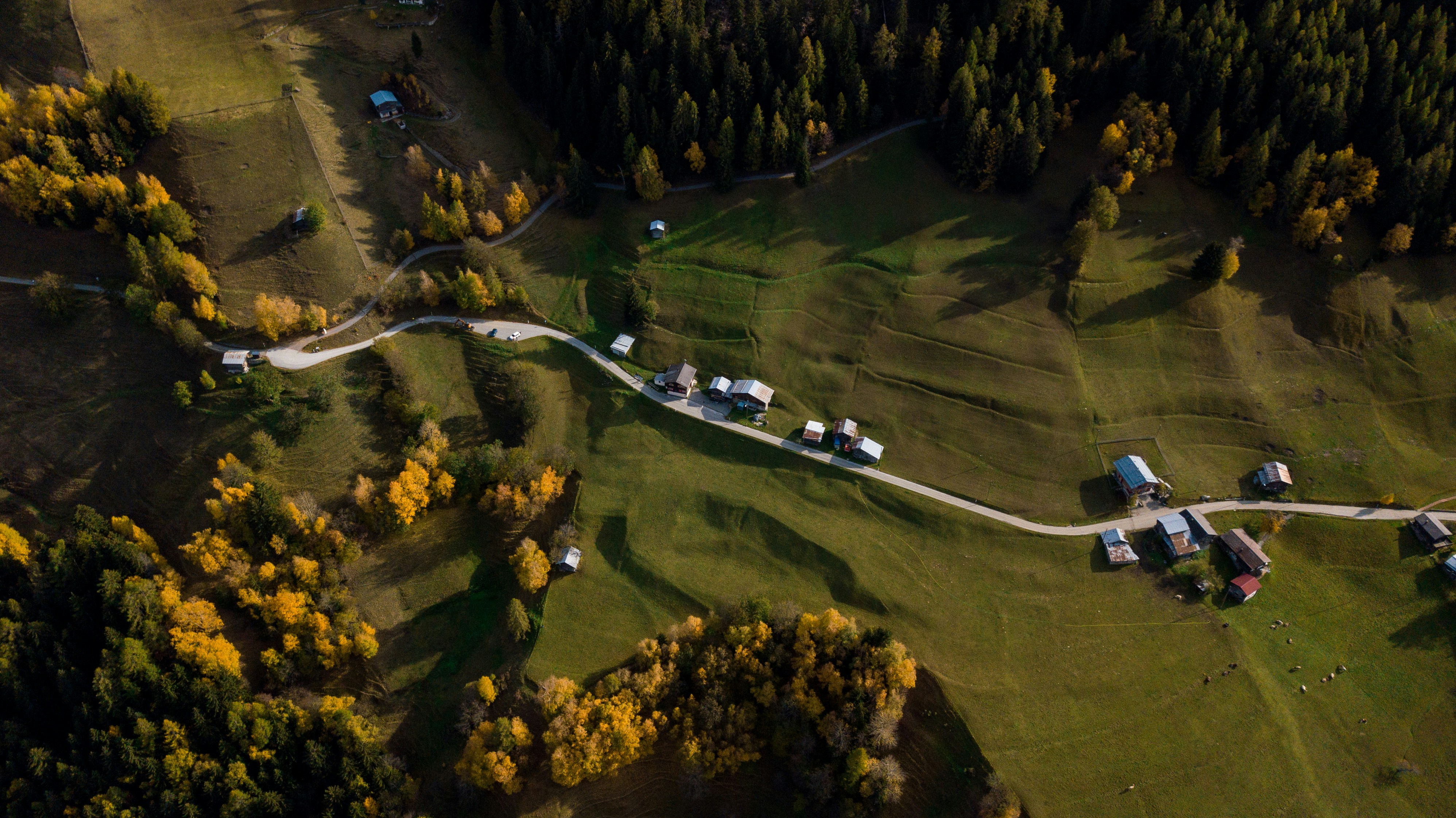 Photo by misterjackdaniel