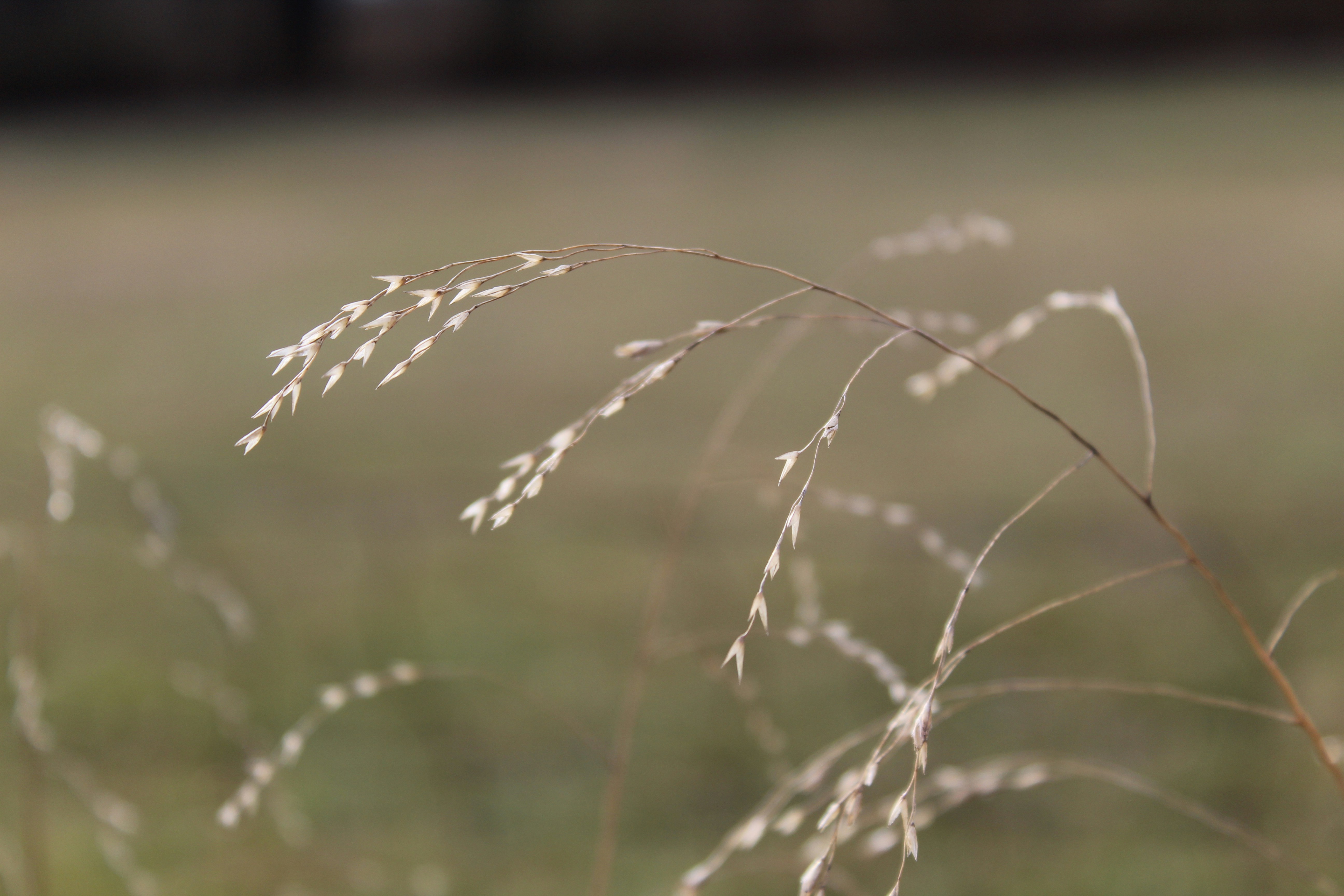 Photo by ascarid