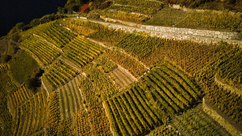 an aerial view of a vineyard in the hills