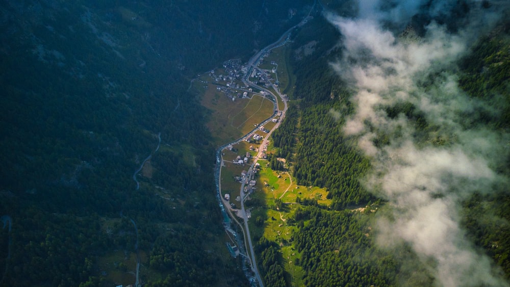 an aerial view of a river running through a lush green forest