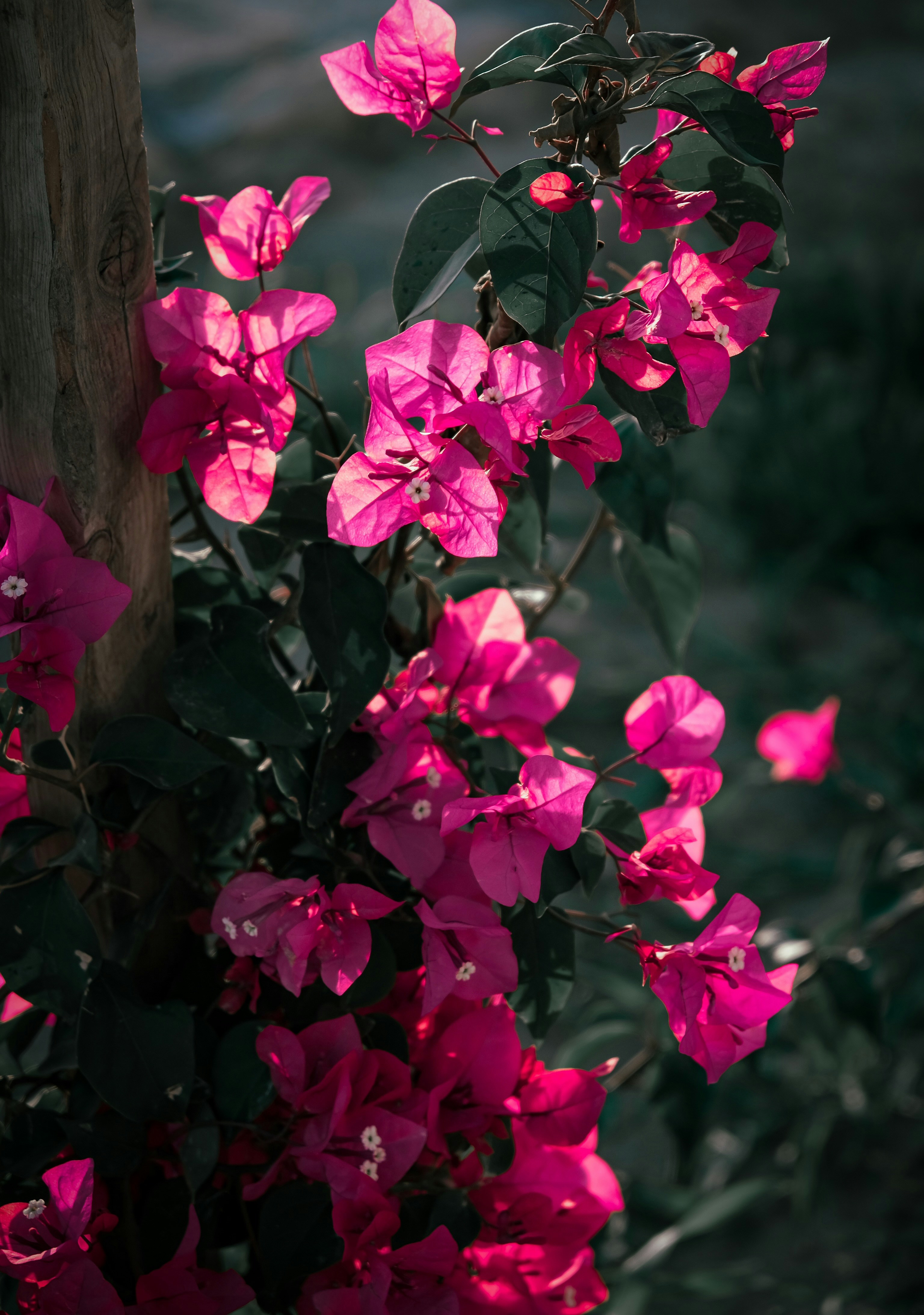 Photo by artofsinn