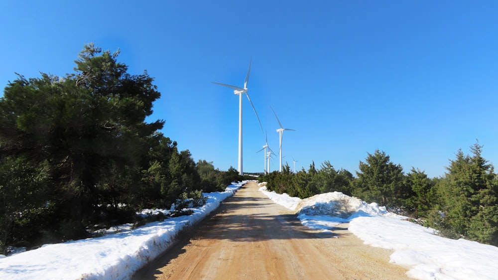 a dirt road surrounded by snow and trees