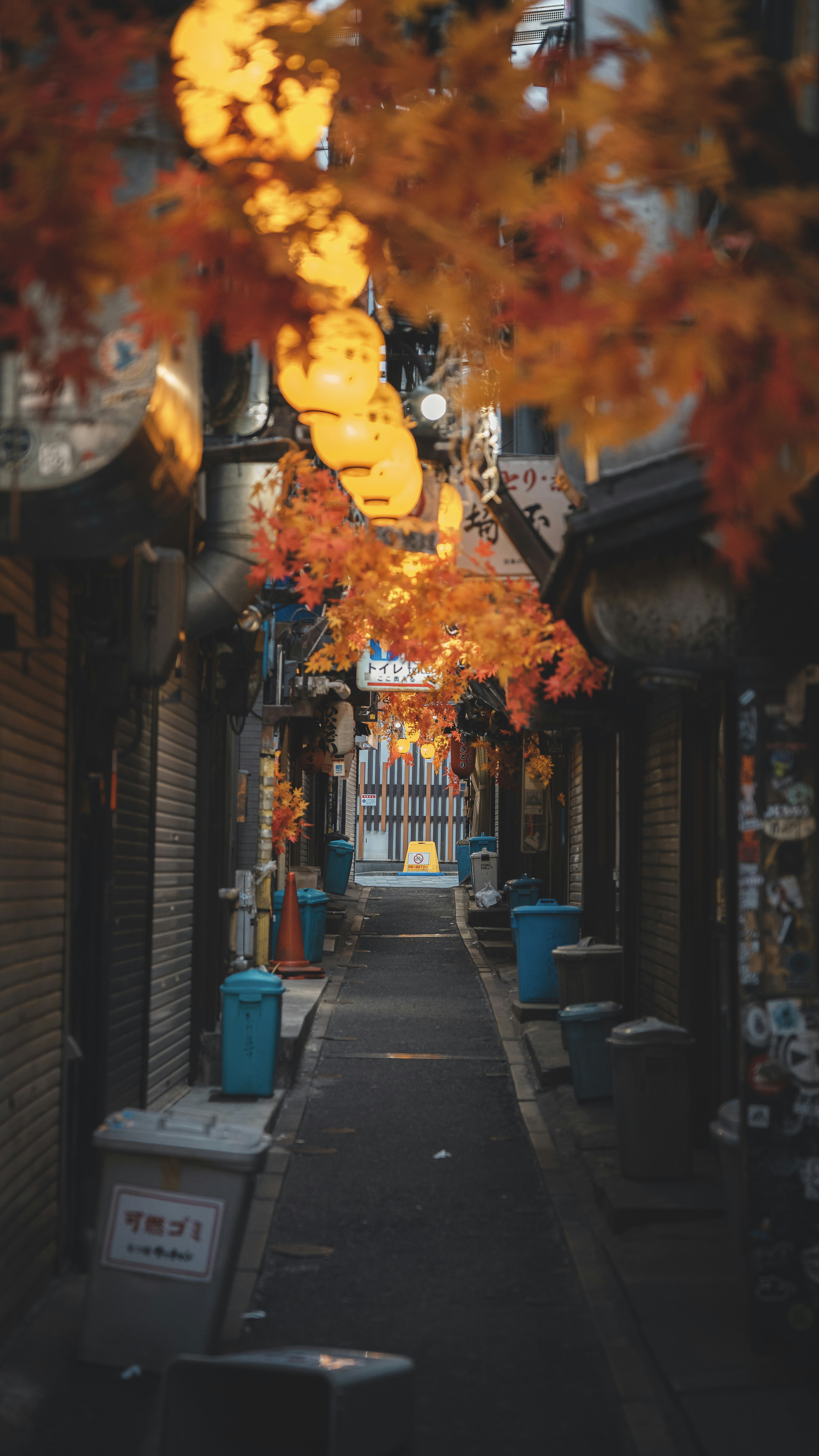 Photo by willianjusten