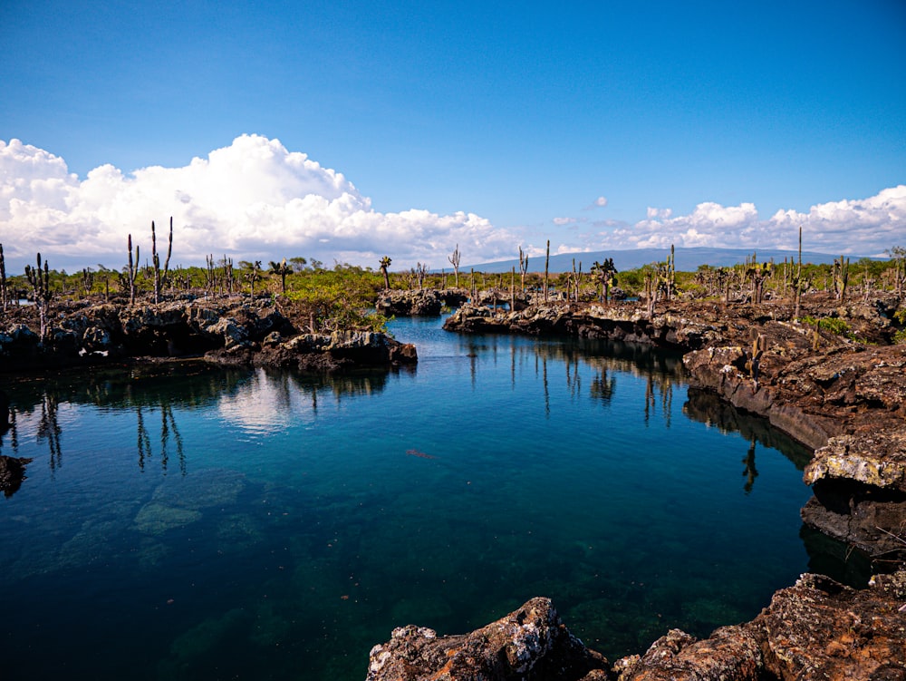 a body of water surrounded by rocks and trees