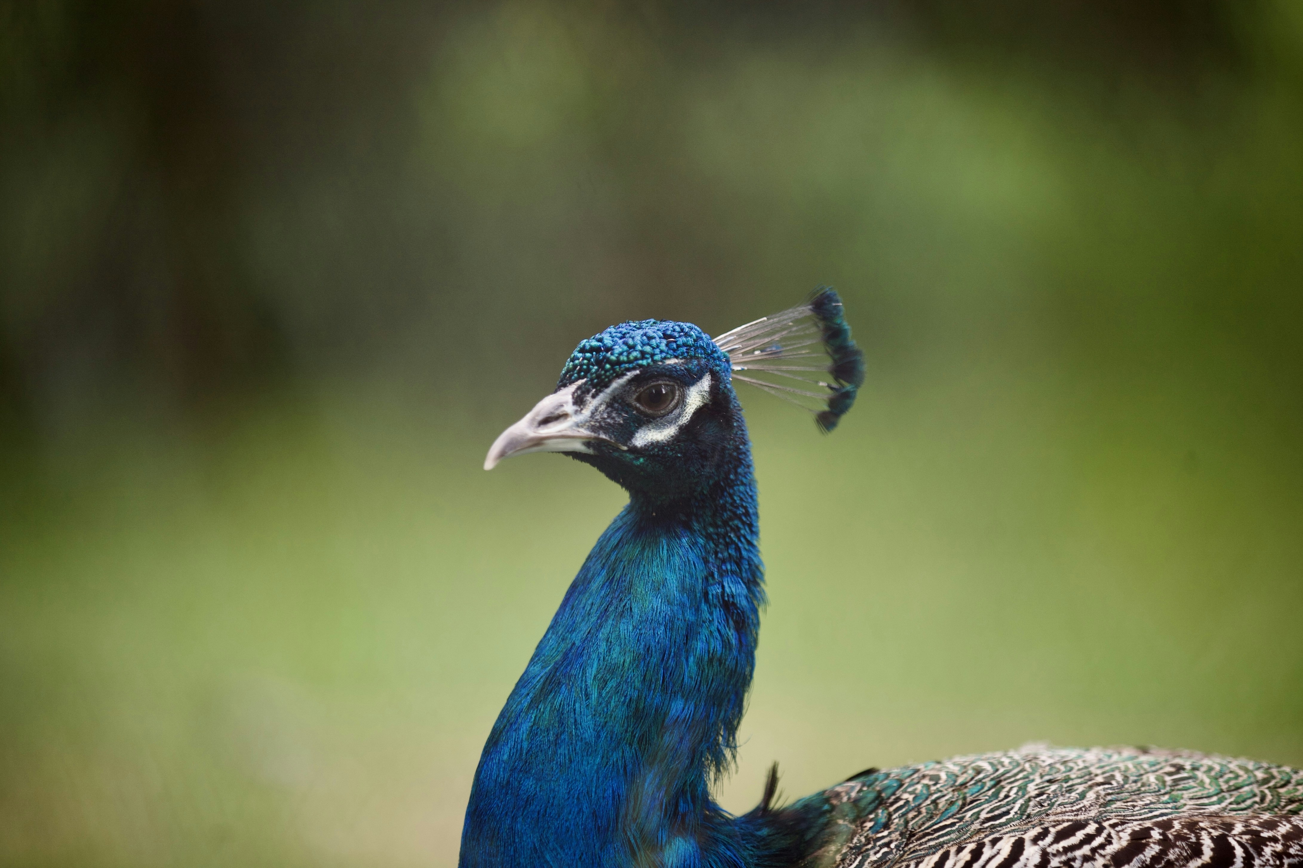 Photo by kristinokarlsen