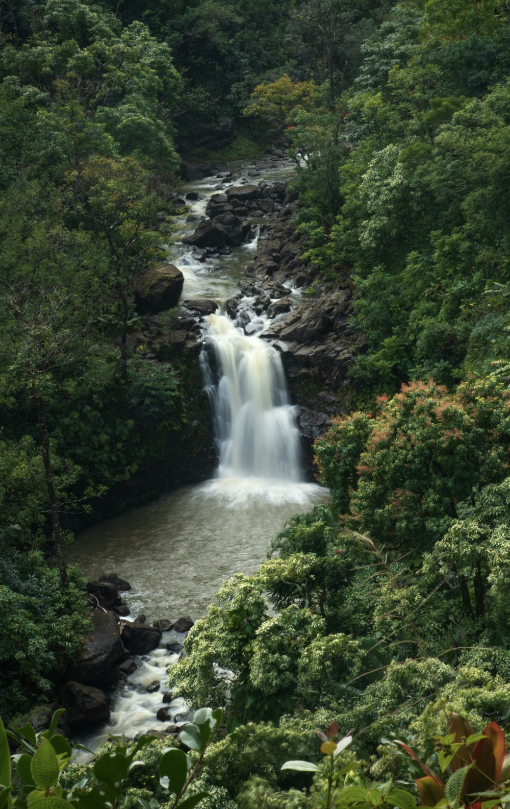 a large waterfall in the middle of a forest