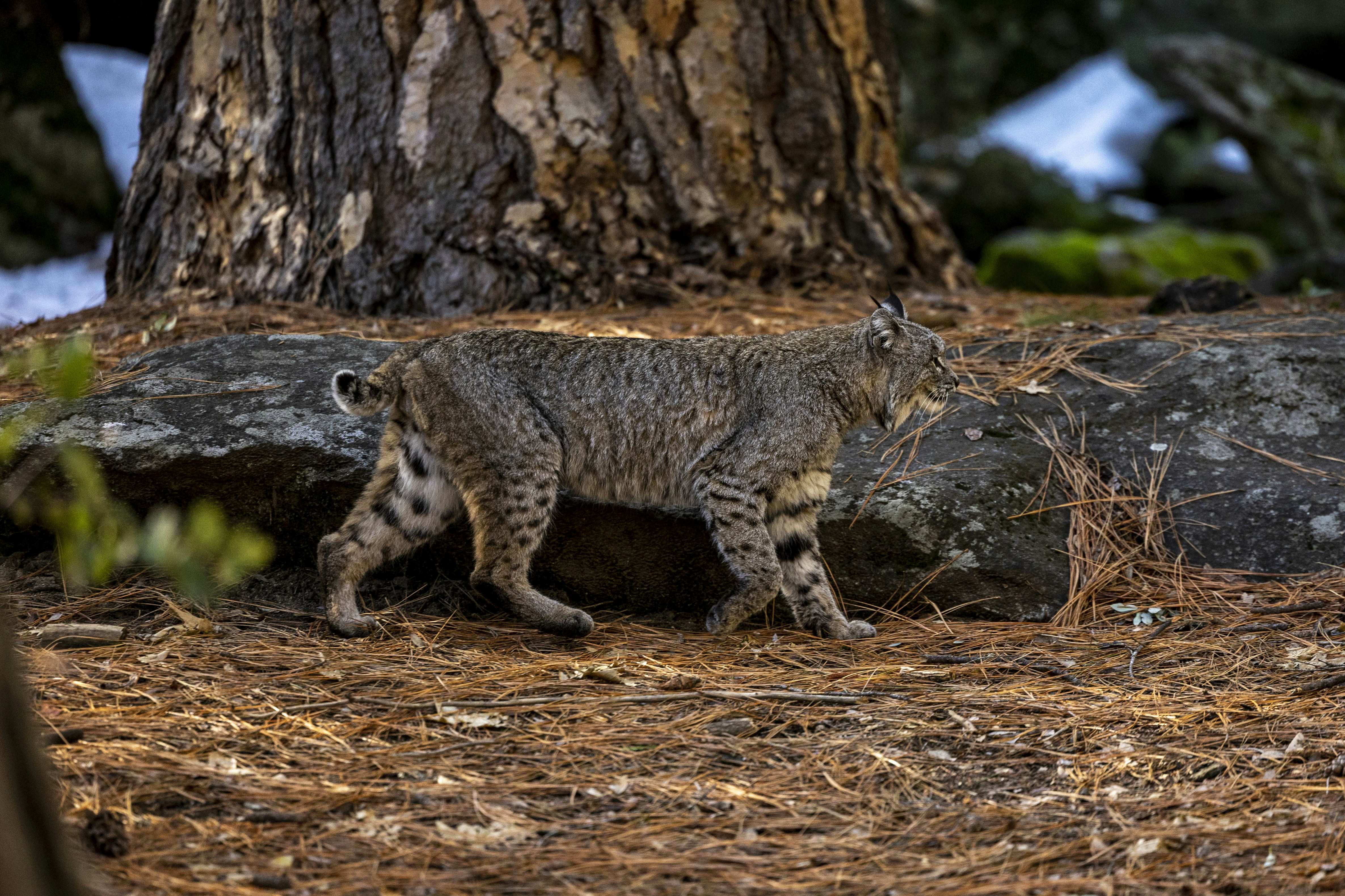 Photo by leo_visions_