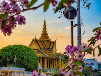 A magnificent temple with intricate golden decorations and a sharp, tiered roof stands surrounded by lush greenery. Pink flowering branches frame the scene, adding a touch of nature in the foreground. The setting sun casts a warm glow over the structure, and a clear sky enhances the serene ambiance. A streetlight and security camera are visible, adding a contemporary element.