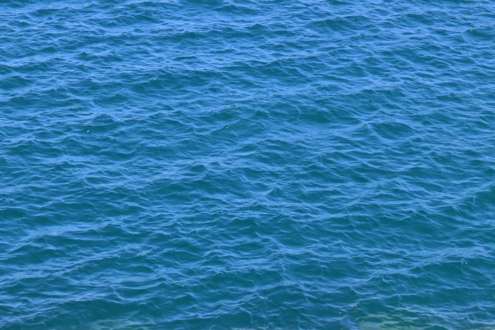 a large body of water with a boat in it