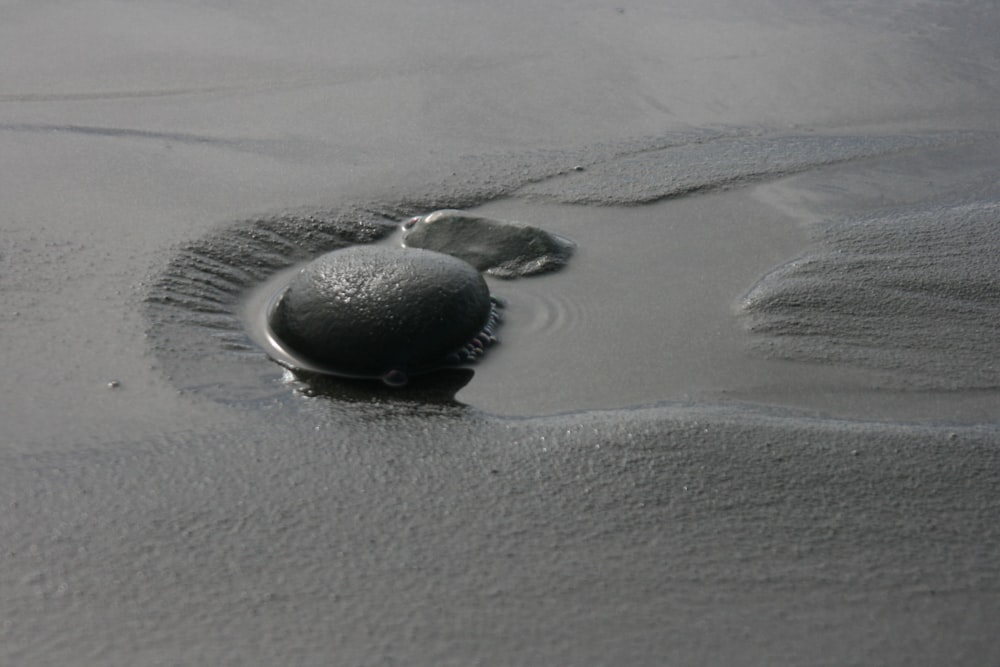 a rock sitting on top of a sandy beach