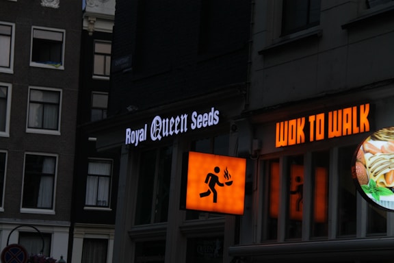 Storefronts in an urban setting feature brightly lit signs. 'Royal Queen Seeds' is illuminated in white, while 'Wok to Walk' is in bold orange lettering. A side image shows a stylized figure holding a wok.