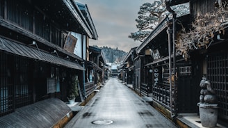 a long narrow street lined with wooden buildings