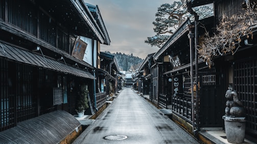 a long narrow street lined with wooden buildings