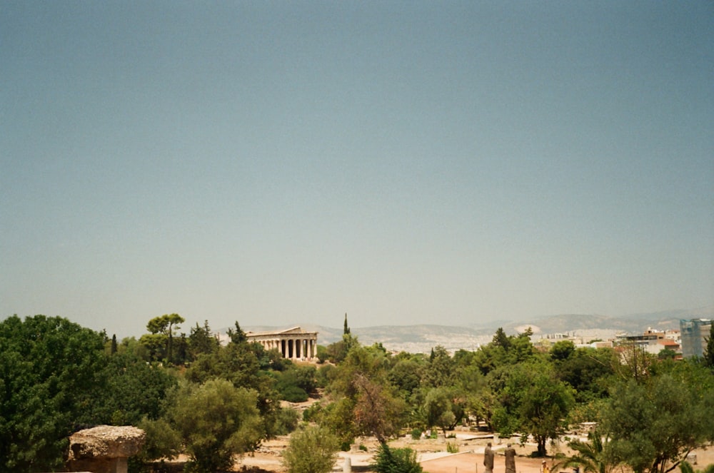 a view of the part of the ancient city of palmyran