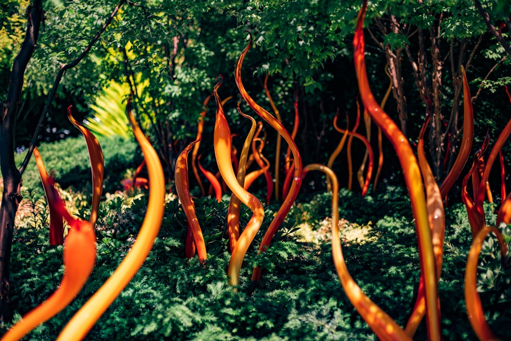 a group of glass sculptures in a forest