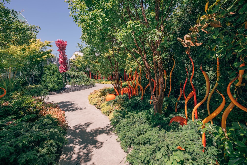 a path through a garden filled with lots of trees