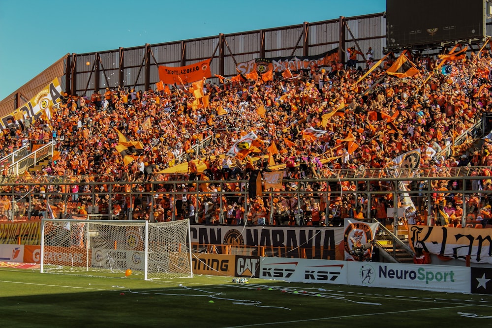 a large crowd of people watching a soccer game