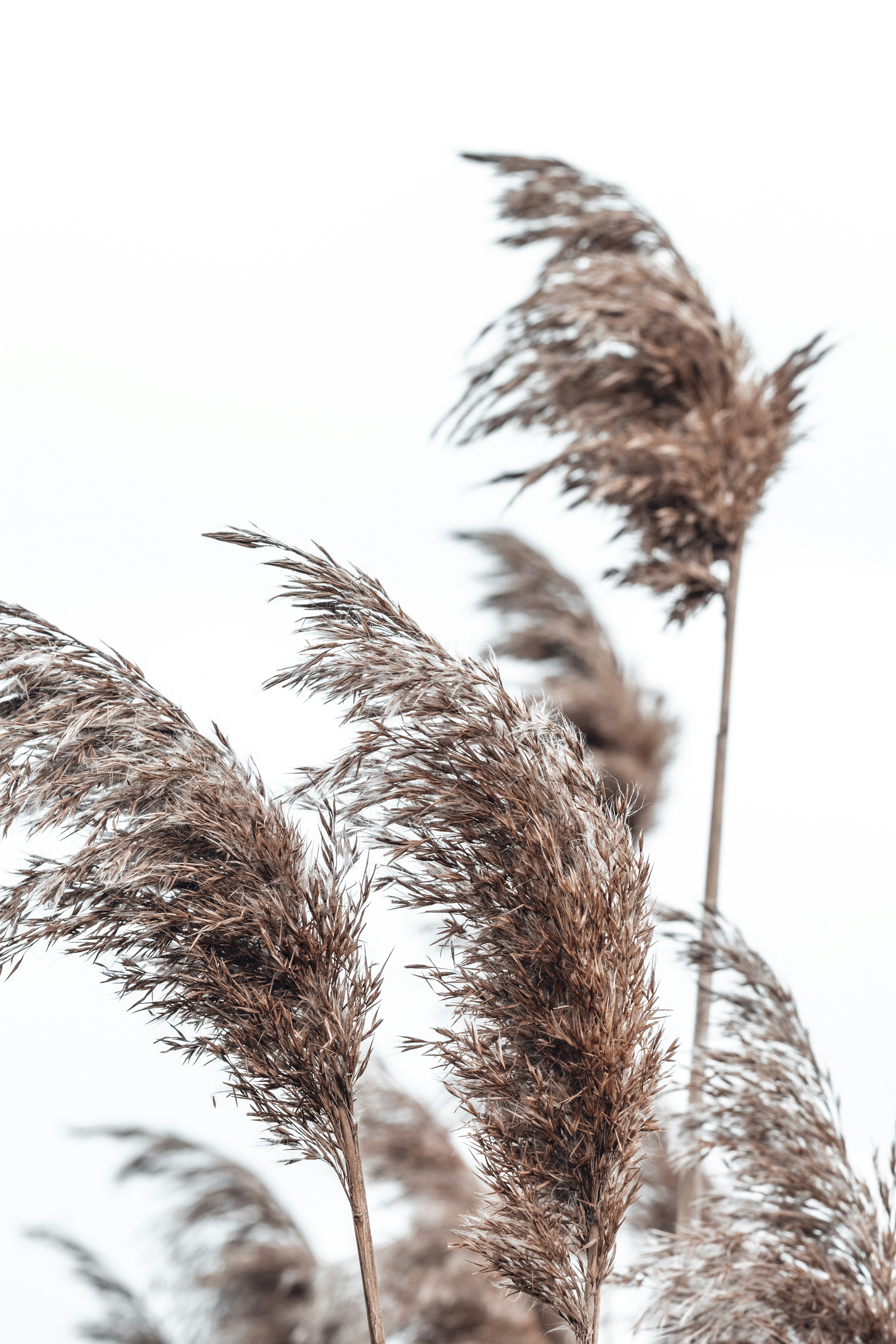 Photo by vadym_alyekseyenko