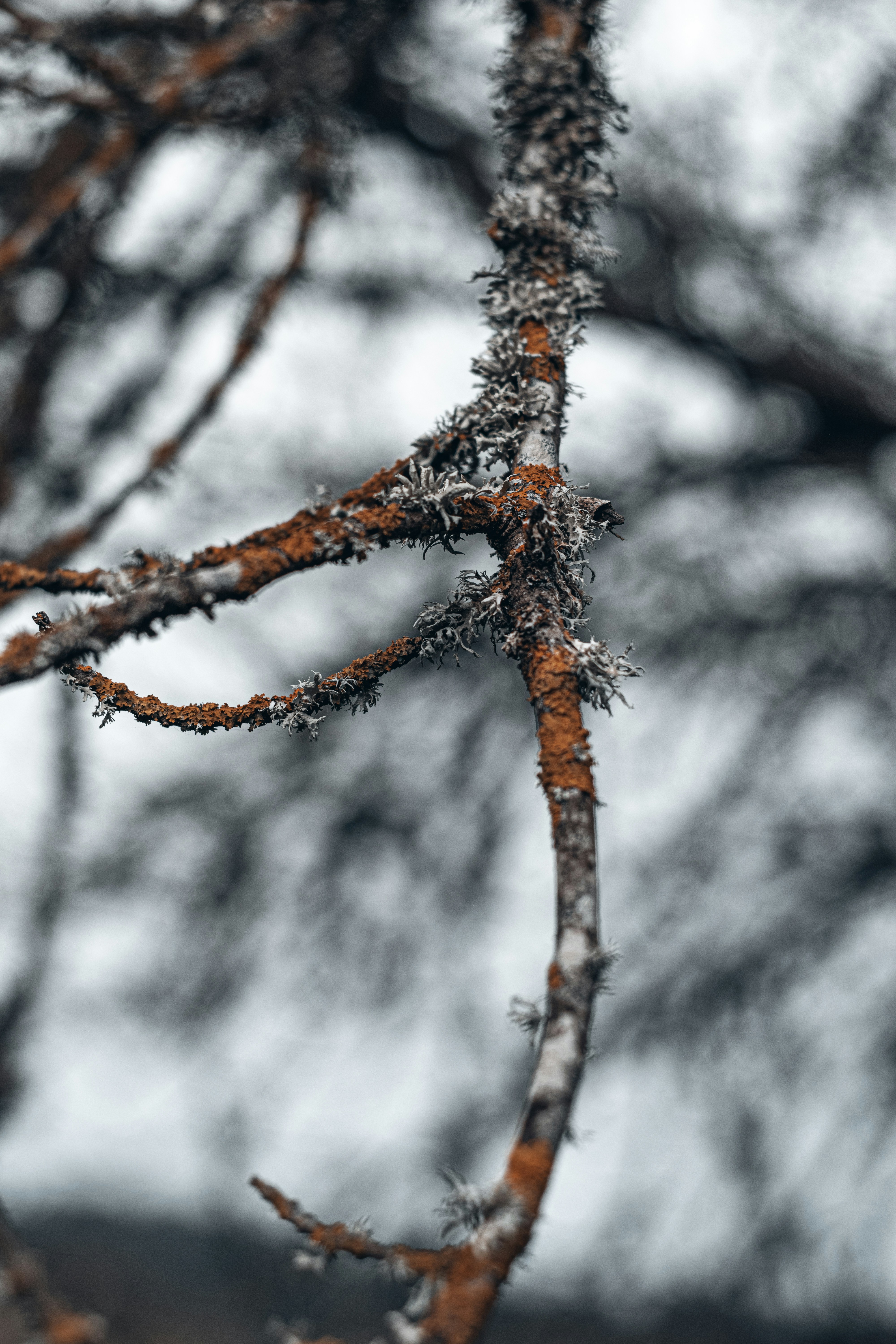 Photo by vadym_alyekseyenko