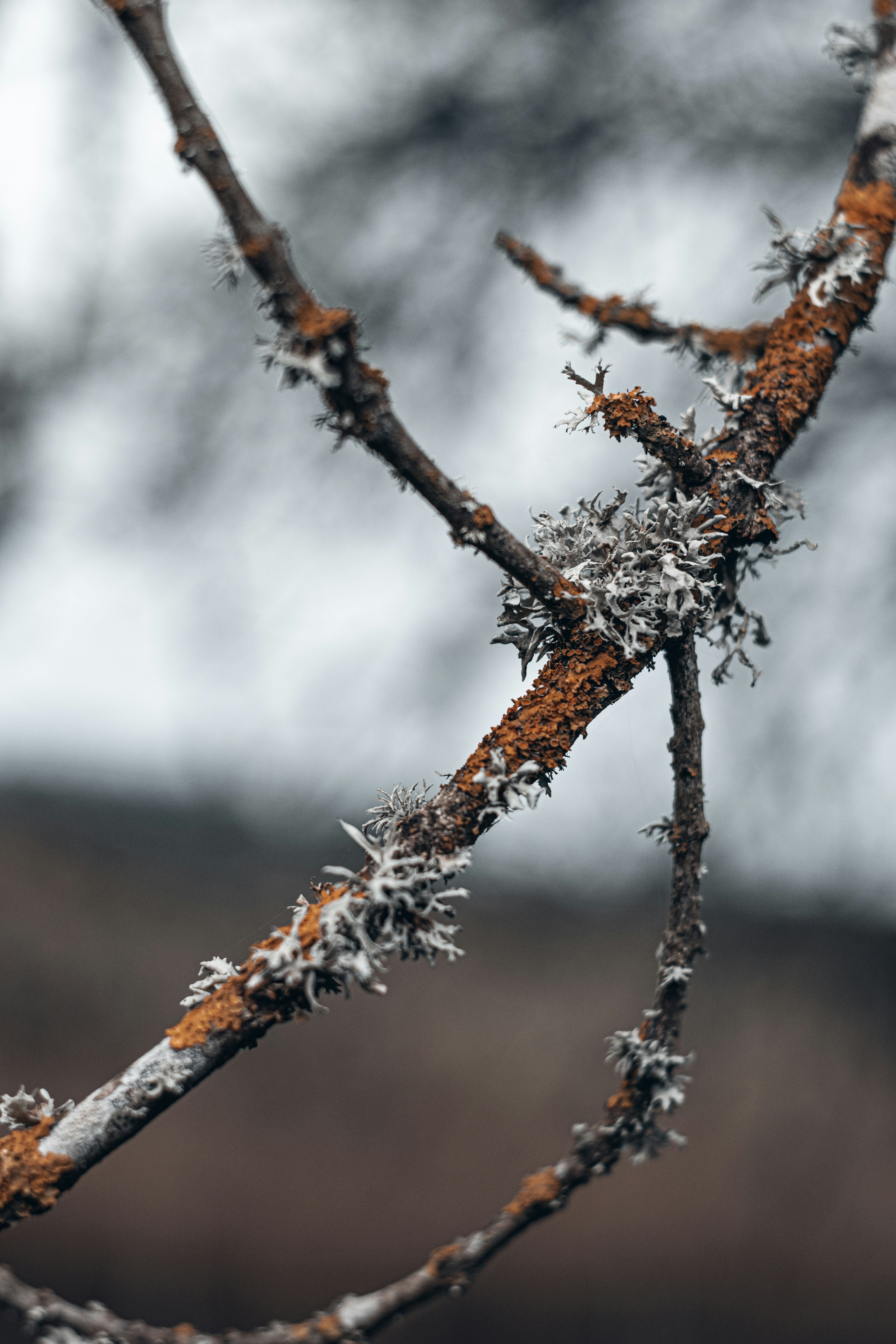 Photo by vadym_alyekseyenko