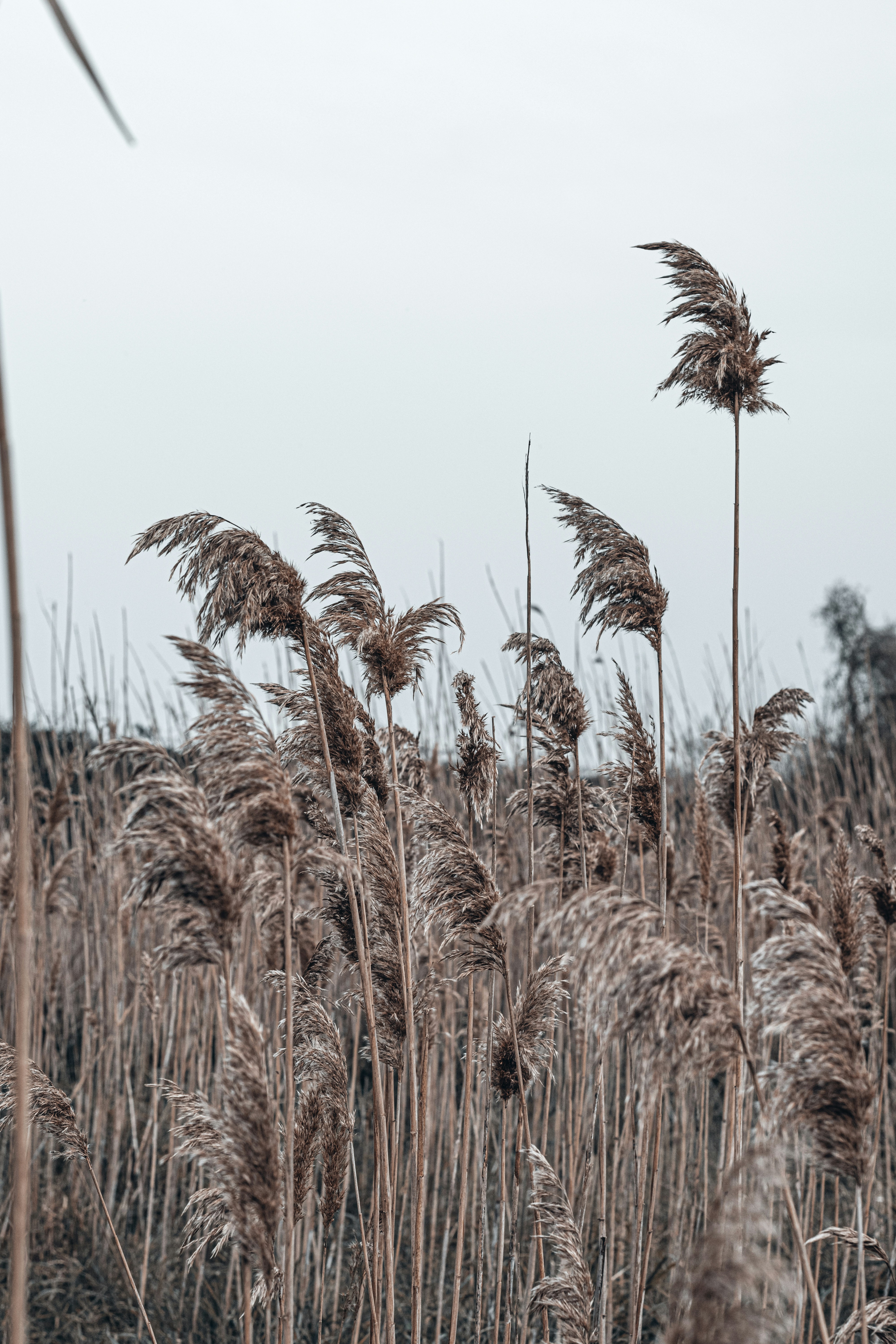 Photo by vadym_alyekseyenko