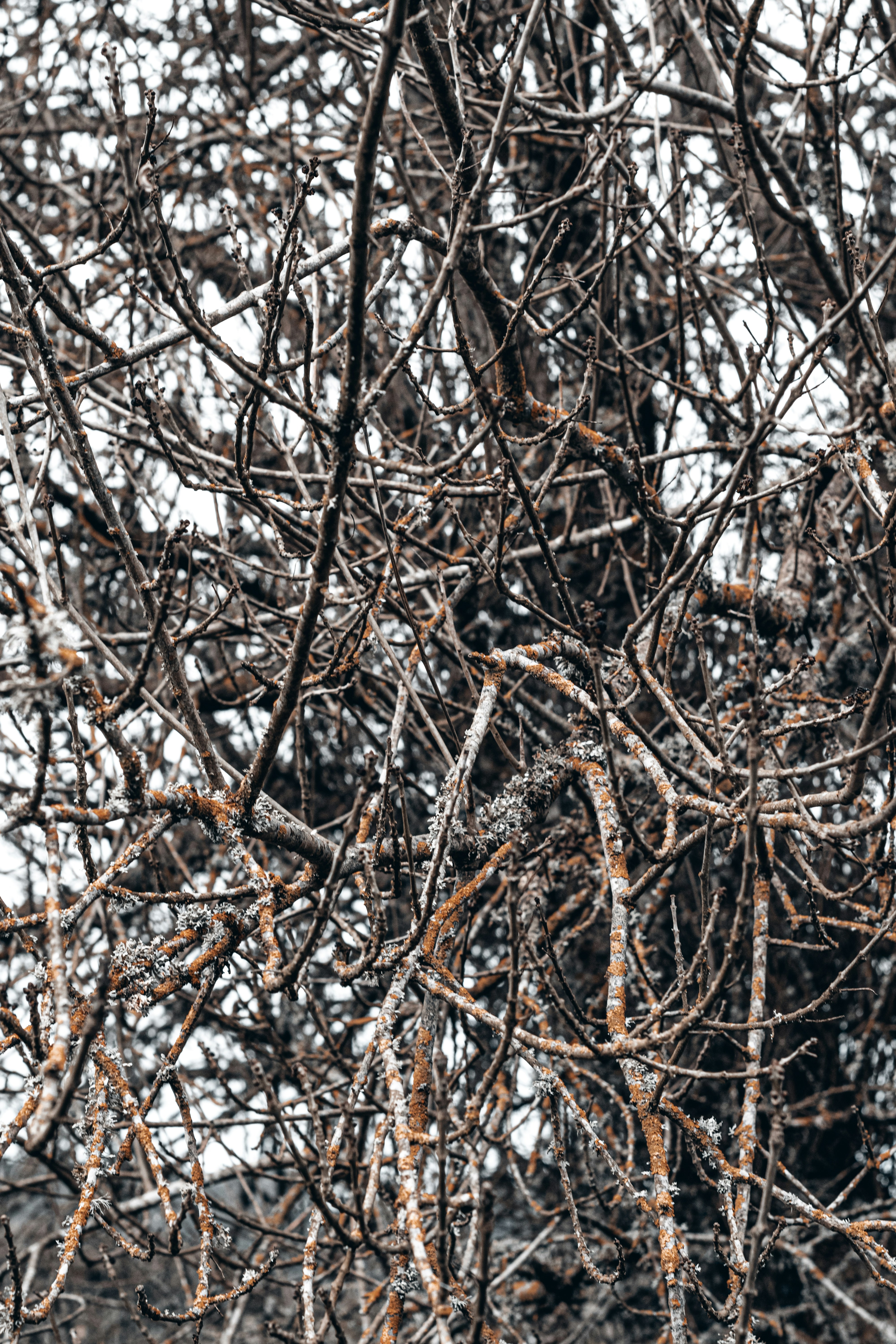 Photo by vadym_alyekseyenko